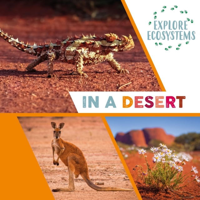 Explore Ecosystems: In a Desert, Paperback / softback Book