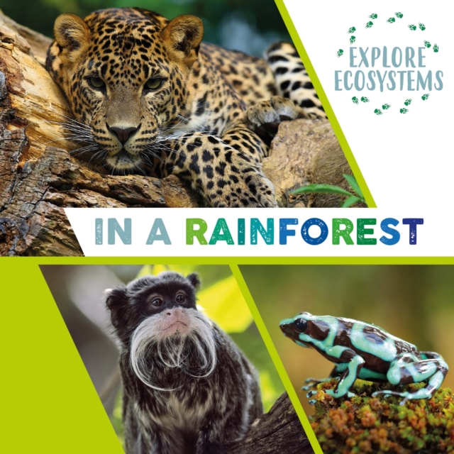 Explore Ecosystems: In a Rainforest, Paperback / softback Book