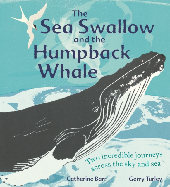 The Sea Swallow and the Humpback Whale : Two Incredible Journeys Across the Sky and Sea, Hardback Book