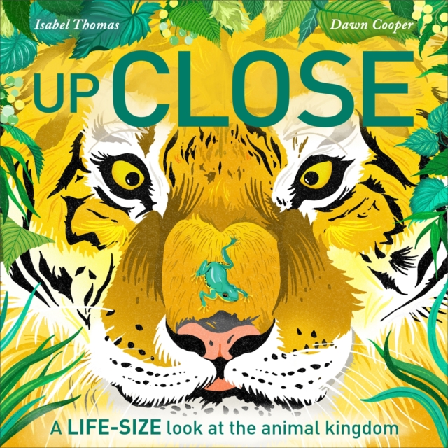 Up Close : A life-size look at the animal kingdom, Hardback Book