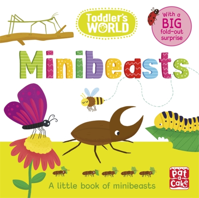 Toddler's World: Minibeasts : A little board book of minibeasts with a fold-out surprise, Board book Book