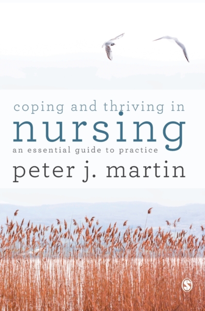 Coping and Thriving in Nursing : An Essential Guide to Practice, Hardback Book