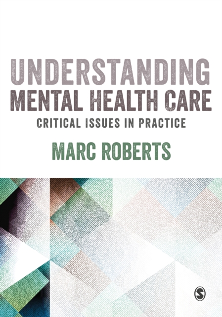 Understanding Mental Health Care: Critical Issues in Practice, EPUB eBook