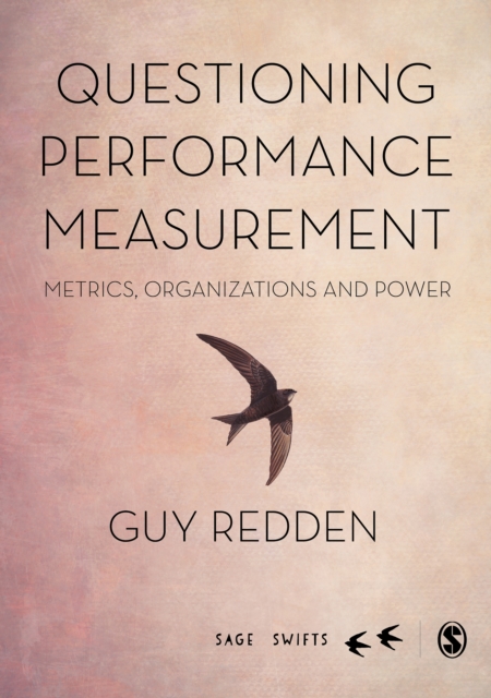 Questioning Performance Measurement: Metrics, Organizations and Power, PDF eBook