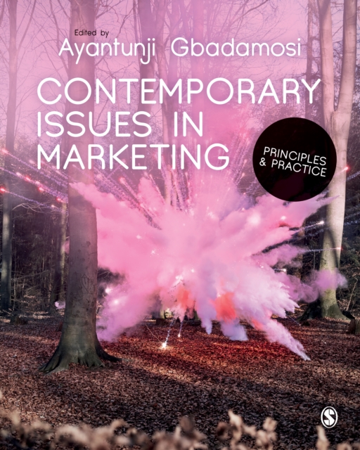 Contemporary Issues in Marketing : Principles and Practice, EPUB eBook