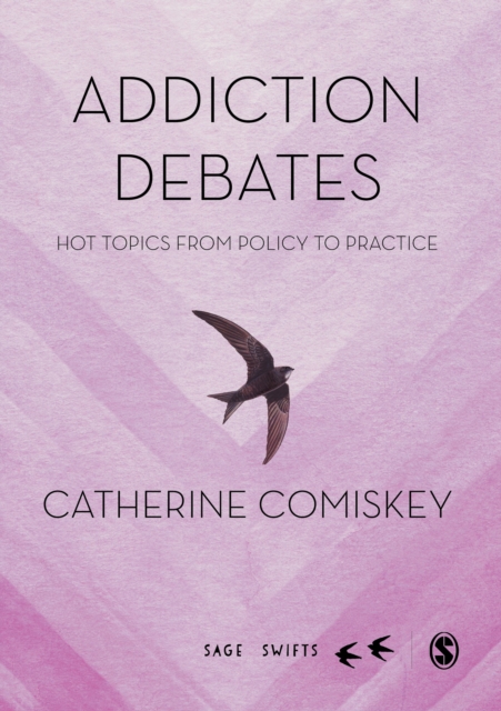 Addiction Debates : Hot Topics from Policy to Practice, PDF eBook