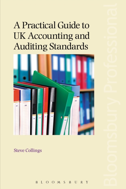 A Practical Guide to UK Accounting and Auditing Standards, PDF eBook
