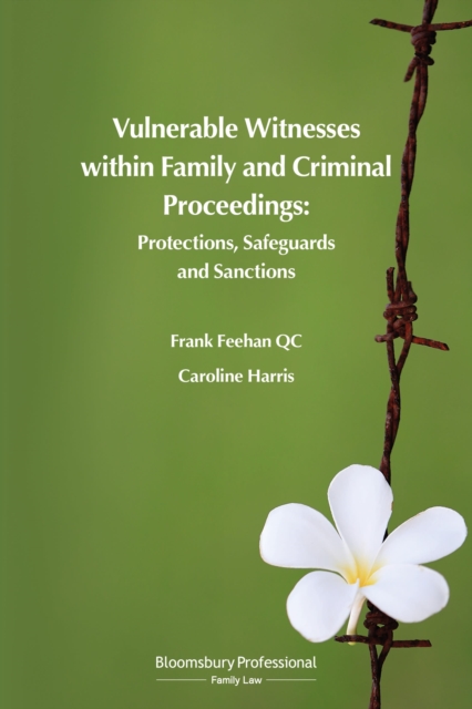 Vulnerable Witnesses within Family and Criminal Proceedings : Protections, Safeguards and Sanctions, Paperback / softback Book