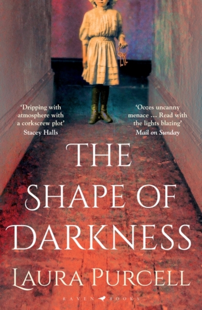 The Shape of Darkness : 'Darkly addictive, utterly compelling' Ruth Hogan, Paperback / softback Book