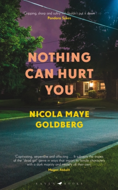 Nothing Can Hurt You, Hardback Book
