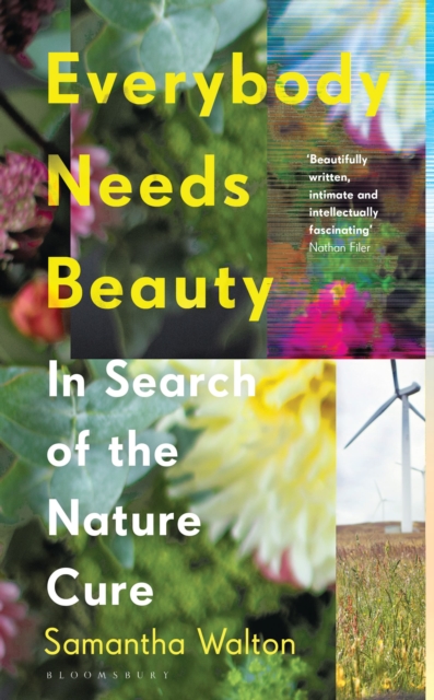 Everybody Needs Beauty : In Search of the Nature Cure, Hardback Book