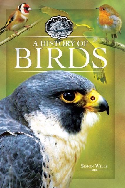 A History of Birds, EPUB eBook