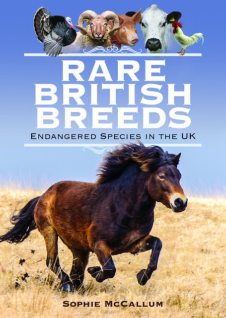 Rare British Breeds : Endangered Species in the UK, Hardback Book