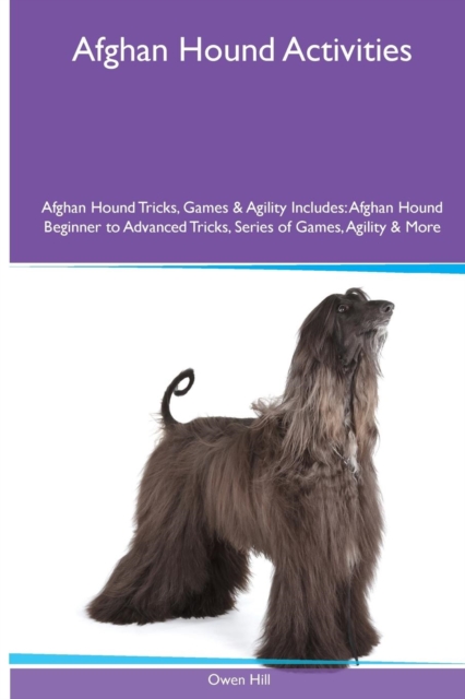 Afghan Hound Activities Afghan Hound Tricks, Games & Agility. Includes : Afghan Hound Beginner to Advanced Tricks, Series of Games, Agility and More, Paperback / softback Book