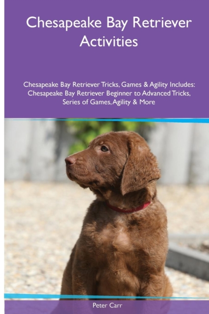 Chesapeake Bay Retriever Activities Chesapeake Bay Retriever Tricks, Games & Agility. Includes : Chesapeake Bay Retriever Beginner to Advanced Tricks, Series of Games, Agility and More, Paperback / softback Book