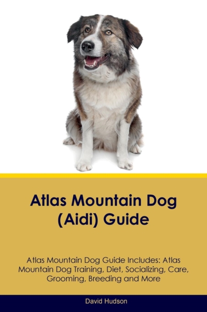 Atlas Mountain Dog (Aidi) Guide Atlas Mountain Dog Guide Includes : Atlas Mountain Dog Training, Diet, Socializing, Care, Grooming, Breeding and More, Paperback / softback Book
