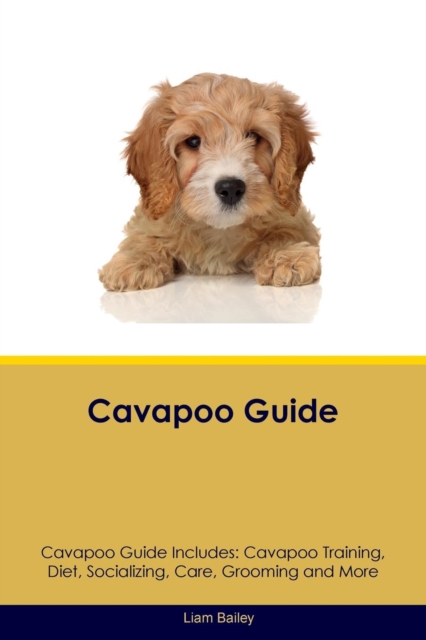Cavapoo Guide Cavapoo Guide Includes : Cavapoo Training, Diet, Socializing, Care, Grooming, Breeding and More, Paperback / softback Book
