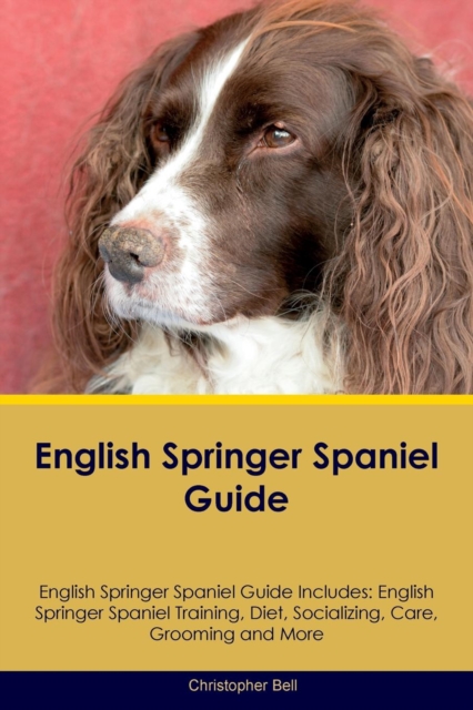 English Springer Spaniel Guide English Springer Spaniel Guide Includes : English Springer Spaniel Training, Diet, Socializing, Care, Grooming, Breeding and More, Paperback / softback Book