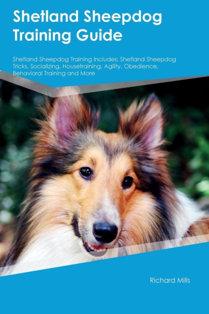 Shetland Sheepdog Training Guide Shetland Sheepdog Training Includes : Shetland Sheepdog Tricks, Socializing, Housetraining, Agility, Obedience, Behavioral Training and More, Paperback / softback Book