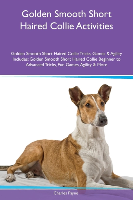 Golden Smooth Short Haired Collie Activities Golden Smooth Short Haired Collie Tricks, Games & Agility Includes : Golden Smooth Short Haired Collie Beginner to Advanced Tricks, Fun Games, Agility & Mo, Paperback / softback Book