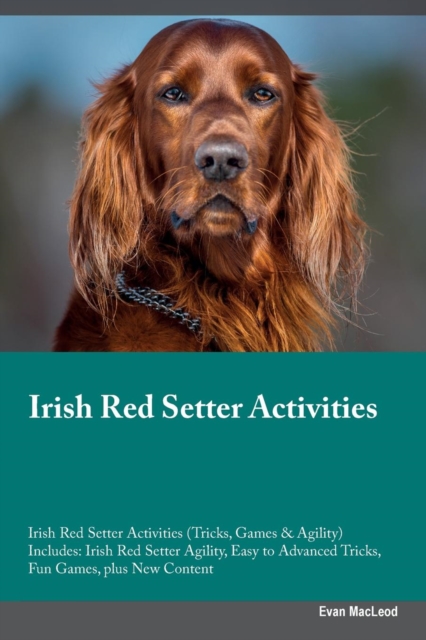 Irish Red Setter Activities Irish Red Setter Activities (Tricks, Games & Agility) Includes : Irish Red Setter Agility, Easy to Advanced Tricks, Fun Games, plus New Content, Paperback / softback Book