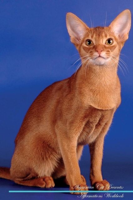 Abyssinian Cat Affirmations Workbook Abyssinian Cat Presents : Positive and Loving Affirmations Workbook. Includes: Mentoring Questions, Guidance, Supporting You., Paperback / softback Book