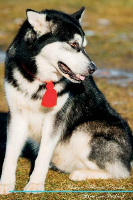 Alaskan Malamute Affirmations Workbook Alaskan Malamute Presents : Positive and Loving Affirmations Workbook. Includes: Mentoring Questions, Guidance, Supporting You., Paperback / softback Book