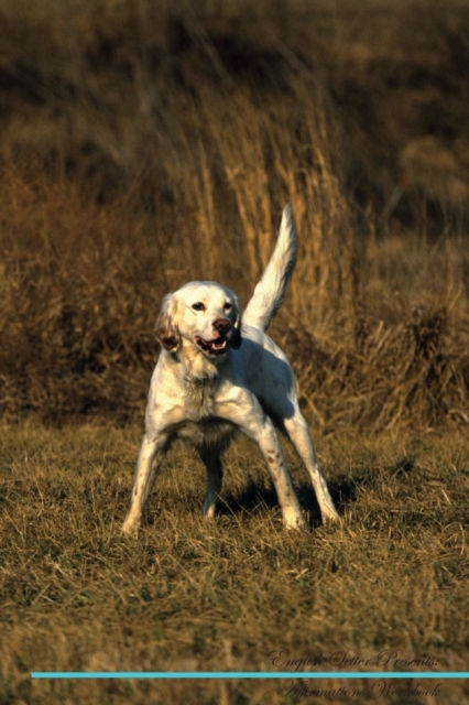 English Setter Affirmations Workbook English Setter Presents : Positive and Loving Affirmations Workbook. Includes: Mentoring Questions, Guidance, Supporting You., Paperback / softback Book