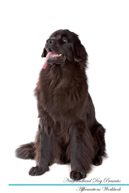Newfoundland Dog Affirmations Workbook Newfoundland Dog Presents : Positive and Loving Affirmations Workbook. Includes: Mentoring Questions, Guidance, Supporting You., Paperback / softback Book