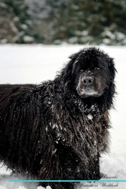 Newfoundland Dog Affirmations Workbook Newfoundland Dog Presents : Positive and Loving Affirmations Workbook. Includes: Mentoring Questions, Guidance, Supporting You., Paperback / softback Book
