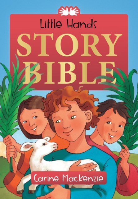 Little Hands Story Bible, Book Book