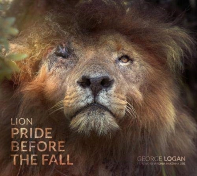 Lion: Pride Before the Fall, Hardback Book