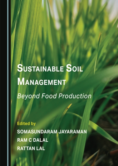 None Sustainable Soil Management : Beyond Food Production, PDF eBook
