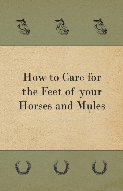 How to Care for the Feet of your Horses and Mules, Paperback / softback Book