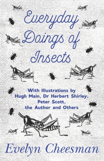 Everyday Doings of Insects - With Illustrations by Hugh Main, Dr Herbert Shirley, Peter Scott, the Author and Others, Paperback / softback Book