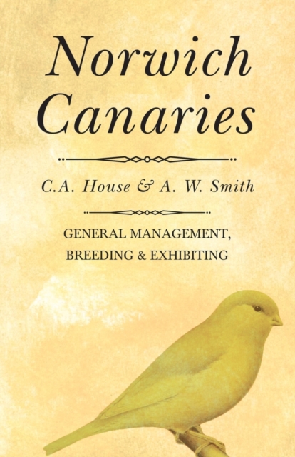 Norwich Canaries, Paperback / softback Book