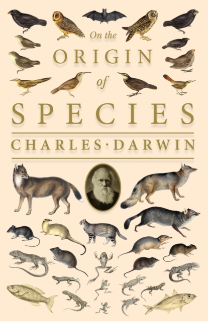 On the Origin of Species;Or; The Preservation of the Favoured Races in the Struggle for Life, Paperback / softback Book