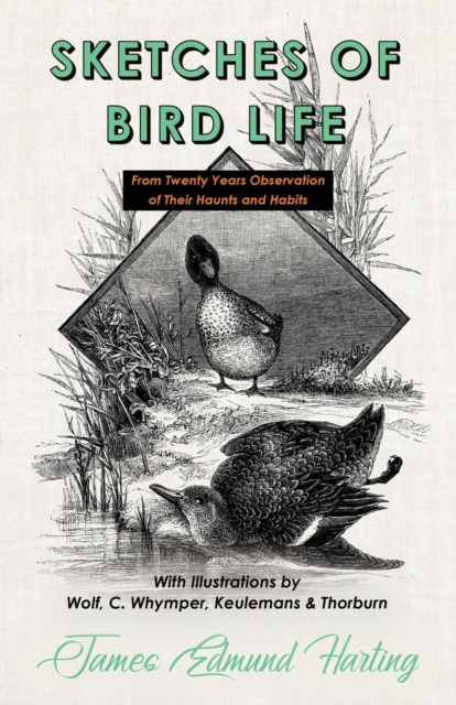 Sketches of Bird Life - From Twenty Years Observation of Their Haunts and Habits - With Illustrations by Wolf, C. Whymper, Keulemans, and Thorburn, Paperback / softback Book