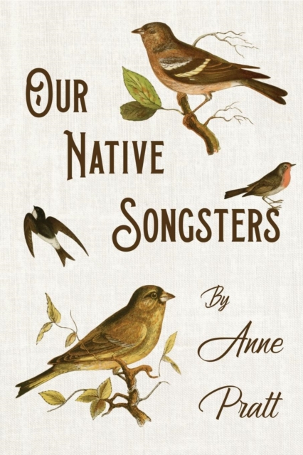 Our Native Songsters, Paperback / softback Book