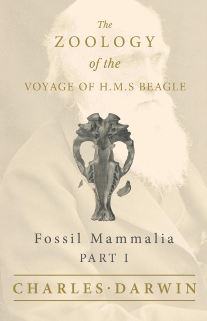 Fossil Mammalia - Part I - The Zoology of the Voyage of H.M.S Beagle; Under the Command of Captain Fitzroy - During the Years 1832 to 1836, Paperback / softback Book