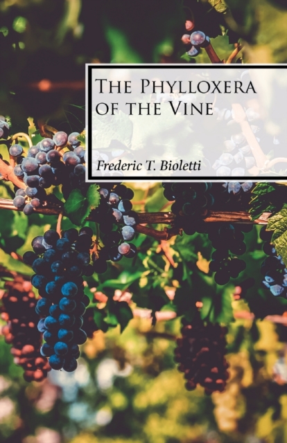 The Phylloxera of the Vine, Paperback / softback Book