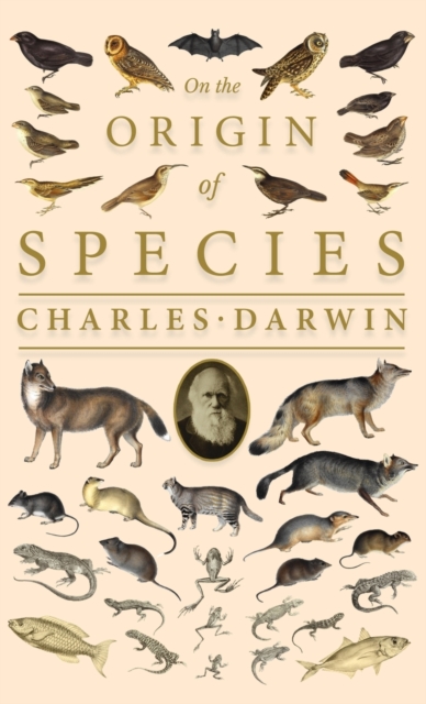 On the Origin of Species;Or; The Preservation of the Favoured Races in the Struggle for Life, Hardback Book