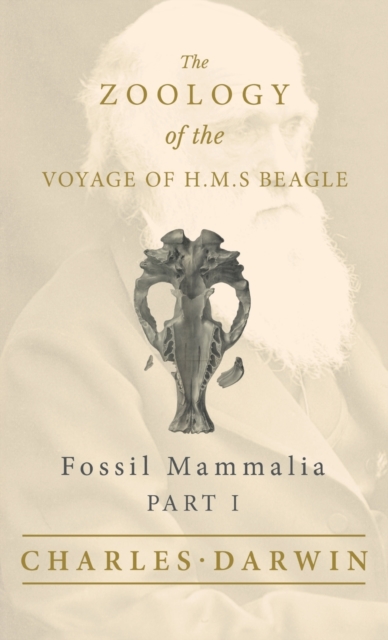 Fossil Mammalia - Part I - The Zoology of the Voyage of H.M.S Beagle, Hardback Book