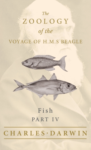 Fish - Part IV - The Zoology of the Voyage of H.M.S Beagle, Hardback Book