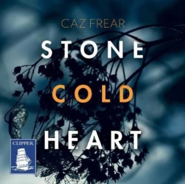 Stone Cold Heart, CD-Audio Book