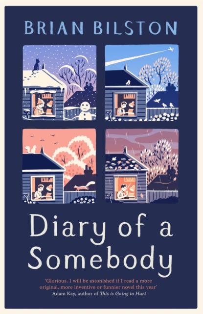 Diary of a Somebody, Hardback Book