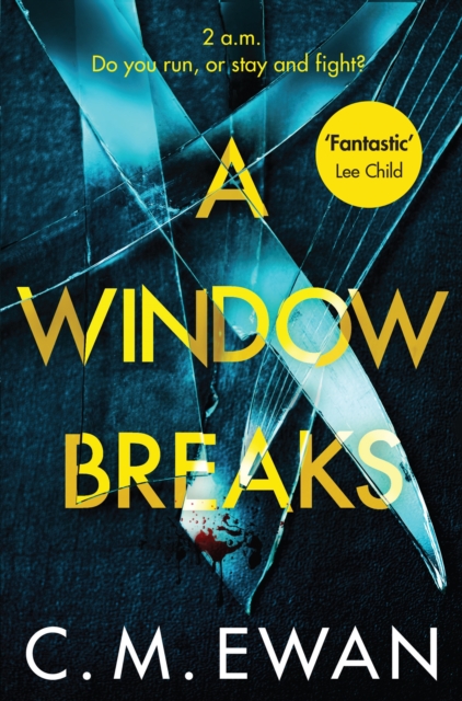 A Window Breaks, Paperback / softback Book