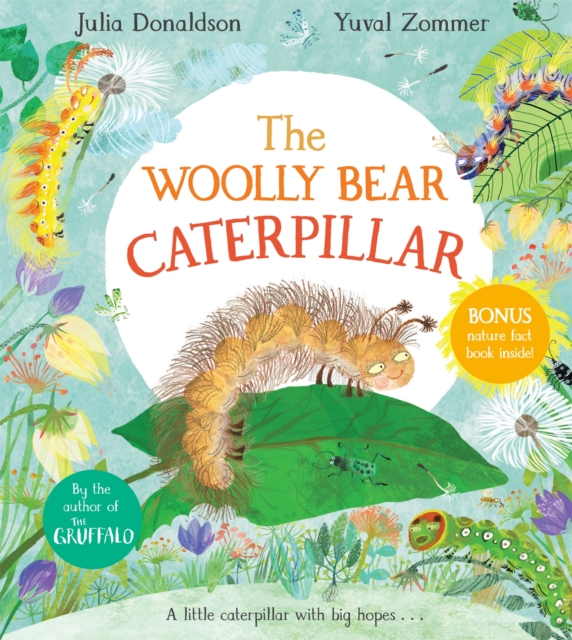 The Woolly Bear Caterpillar, Hardback Book