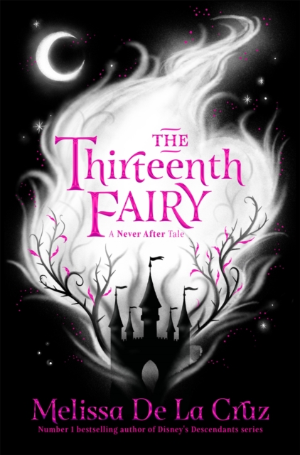 The Thirteenth Fairy, Paperback / softback Book
