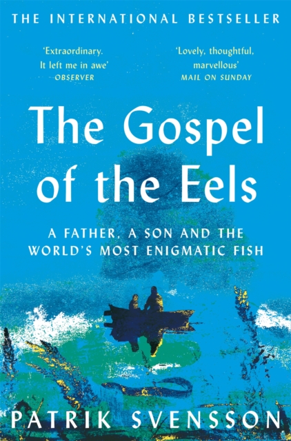 The Gospel of the Eels : A Father, a Son and the World's Most Enigmatic Fish, Paperback / softback Book